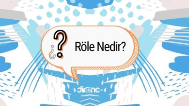 Röle Nedir?